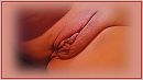 Lekker of lekkerrrr, foto 3264x1836, 7 reacties, 53 stemmen