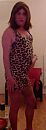 Luipaard dress, foto 256x712, 0 reacties, 3 stemmen