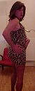 Luipaard dress, foto 281x720, 0 reacties, 2 stemmen