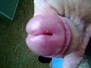 Me 1, foto 1600x1200, 0 reacties, 3 stemmen