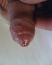 Meiner., foto 1024x1280, 4 reacties, 2 stemmen