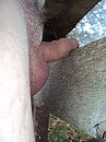 Mistig hek wei 3, foto 1944x2592, 1 reacties, 5 stemmen