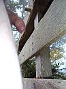 Mistig hek wei 5, foto 1944x2592, 1 reacties, 4 stemmen
