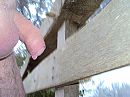 Mistig hek wei 7, foto 2592x1944, 1 reacties, 6 stemmen