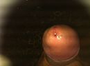 Mmhhh, foto 2056x1536, 4 reacties, 6 stemmen