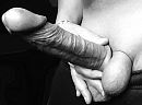 M'n BullCock, foto 947x706, 3 reacties, 6 stemmen