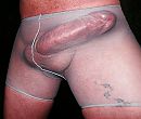 Mn BullCock, foto 1000x854, 1 reacties, 1 stemmen