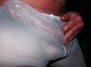 Mn BullCock, foto 1000x742, 0 reacties, 0 stemmen