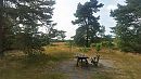 NU KOOTWIJK, foto 4000x2250, 5 reacties, 17 stemmen