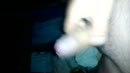 Nachtlozing, film 00:00:30, 6 reacties, 7 stemmen