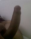 Net wakker.., foto 952x1200, 2 reacties, 2 stemmen