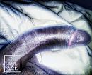 Ontbijt op bed, foto 2795x2269, 3 reacties, 17 stemmen