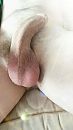 Op de bank 2, foto 1080x1920, 0 reacties, 1 stemmen