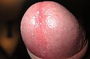 Op vakantie, foto 1005x658, 0 reacties, 0 stemmen