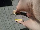 Oudere foto, foto 1024x768, 0 reacties, 3 stemmen
