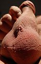 Paal, foto 1733x2664, 0 reacties, 1 stemmen