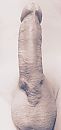 Paal.., foto 578x1209, 0 reacties, 2 stemmen