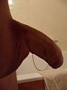 Pik, foto 638x850, 21 reacties, 57 stemmen