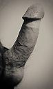 Pik, foto 1880x3168, 2 reacties, 4 stemmen