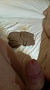 Post, foto 1836x3264, 0 reacties, 1 stemmen