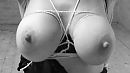 Pretty tied up, foto 1869x1059, 20 reacties, 89 stemmen