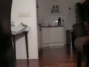Pumps, film 00:00:00, 4 reacties, 12 stemmen