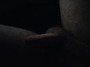 Relaxing ..., foto 4000x3000, 1 reacties, 1 stemmen