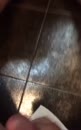 Rukken, film 00:00:15, 82 reacties, 213 stemmen