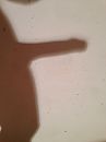 Schaduw, foto 2448x3264, 0 reacties, 1 stemmen