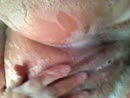 Schone poes!, film 00:00:09, 30 reacties, 177 stemmen