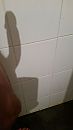 Shadow, foto 2250x4000, 0 reacties, 0 stemmen