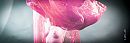 Shoot met model, foto 800x265, 0 reacties, 1 stemmen