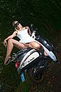 Shoot muurbloem, foto 721x1080, 1 reacties, 23 stemmen
