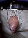 Slap en nat, foto 480x640, 5 reacties, 13 stemmen