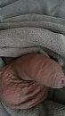 Soms heeft ie ook rust nodig, foto 1080x1920, 3 reacties, 4 stemmen