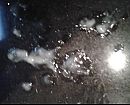 SpermArt, foto 840x680, 1 reacties, 2 stemmen