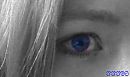 even kijken, foto 452x271, 33 reacties, 146 stemmen