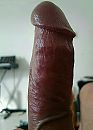 TOTEMPAAL, foto 738x1023, 0 reacties, 1 stemmen