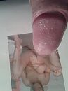 T, foto 1920x2560, 1 reacties, 4 stemmen