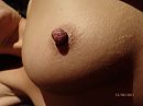 Tepelringetje, foto 4000x3000, 9 reacties, 67 stemmen