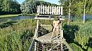 Torentje, foto 3266x1837, 1 reacties, 6 stemmen