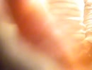 Trekken en spuiten, film 00:00:00, 2 reacties, 8 stemmen