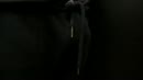 Uit de verpakking halen, film 00:00:20, 0 reacties, 2 stemmen
