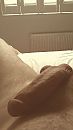 Vakantie 1, foto 2121x3771, 0 reacties, 1 stemmen