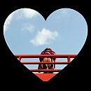 Van onderen........., foto 1080x1080, 6 reacties, 41 stemmen