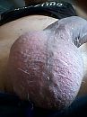 Volle ballen, foto 480x640, 1 reacties, 2 stemmen