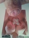 Voor Lisette, foto 1920x2560, 0 reacties, 3 stemmen