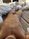 Waking up..., foto 2448x3264, 1 reacties, 19 stemmen