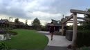Wandeling, film 00:00:24, 17 reacties, 257 stemmen