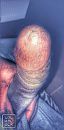Wat een K.. weer!, foto 1994x4000, 3 reacties, 12 stemmen